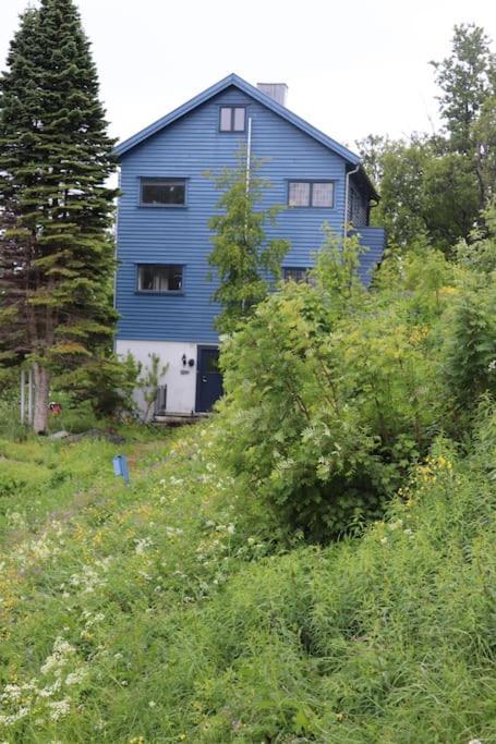 Cozy Family House Villa Tromsø Kültér fotó